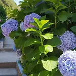 Lavanda Nova Appartamento Ražanj