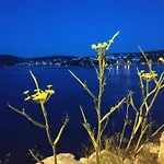 Lavanda Nova *