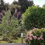 Lavanda Nova * Ražanj