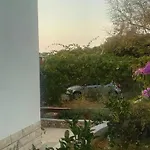 Lavanda Nova * Ražanj
