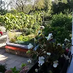 Lavanda Nova Ražanj