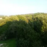 Lavanda Nova Apartment *