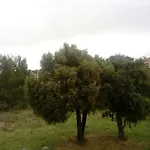 Lavanda Nova * Ražanj