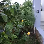 Appartamento Lavanda Nova *