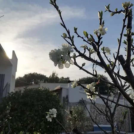 Apartamento Lavanda Nova