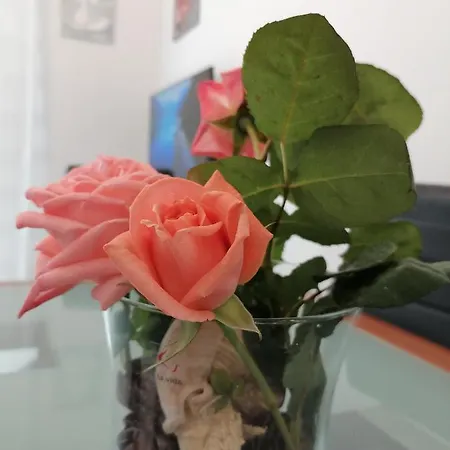 Apartamento Lavanda Nova Ražanj