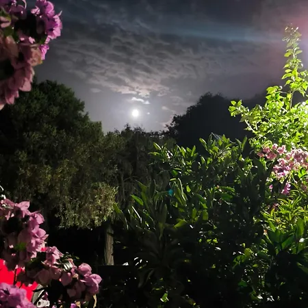 Lavanda Nova Appartement *