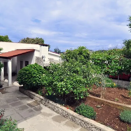 Lavanda Nova Ražanj
