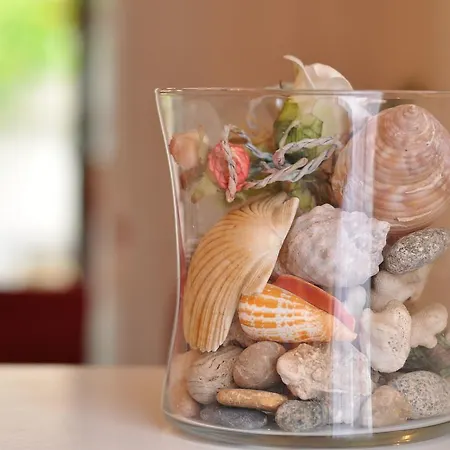 Lavanda Nova Appartement Ražanj