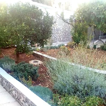 Lavanda Nova Apartamento