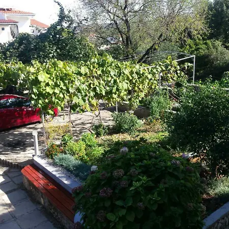 Lavanda Nova Ražanj