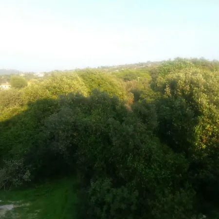 Lavanda Nova Apartamento *