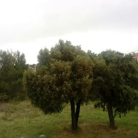 Lavanda Nova * Ražanj