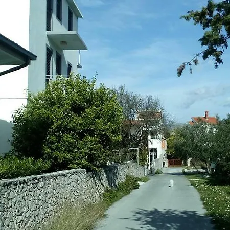Lavanda Nova *