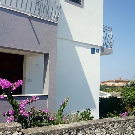 Lavanda Nova *