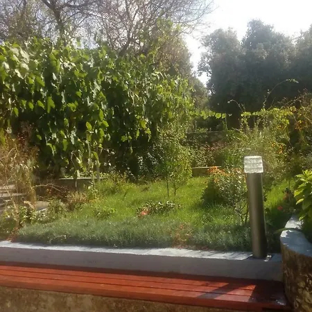 Lavanda Nova Ražanj