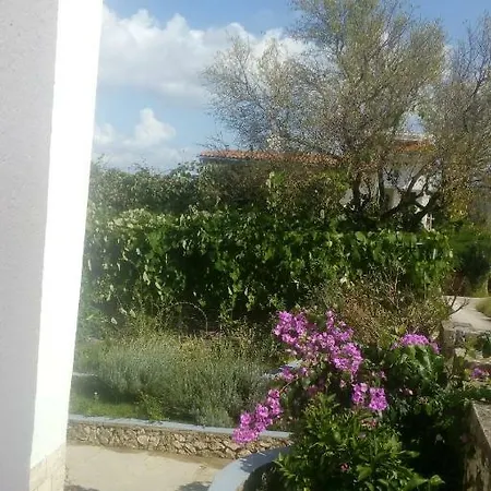 Lavanda Nova * Ražanj