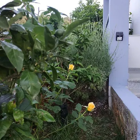 Διαμέρισμα Lavanda Nova *