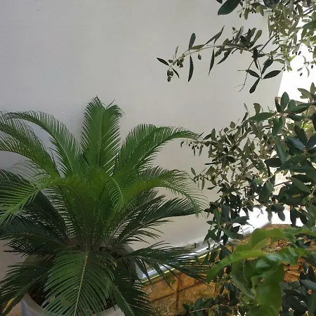 Lavanda Nova Appartement *