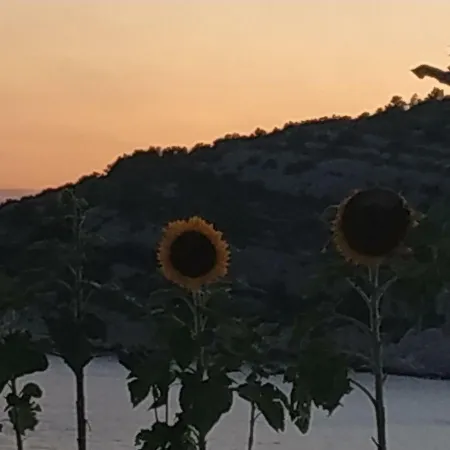 Διαμέρισμα Lavanda Nova *