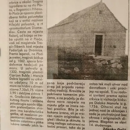 Lavanda Nova *