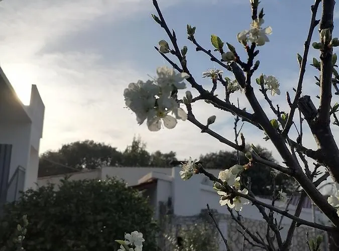 Appartement Lavanda Nova