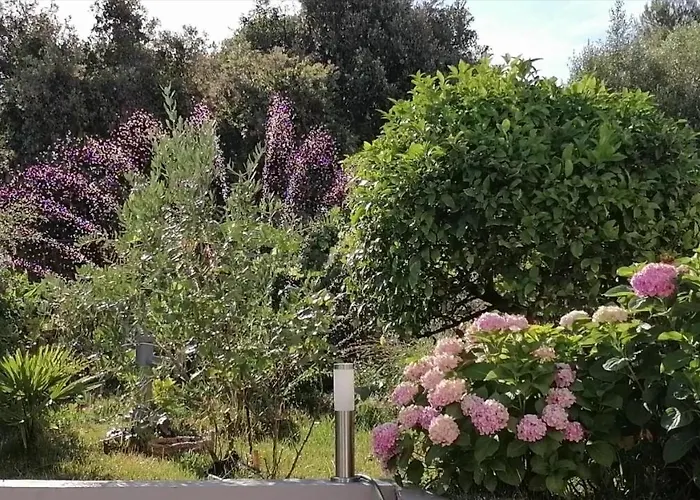 Lavanda Nova * Ražanj