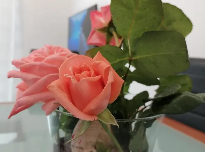 Appartement Lavanda Nova Ražanj