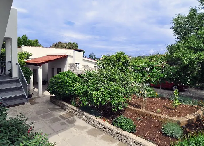 Lavanda Nova Ražanj