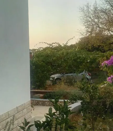 Lavanda Nova * Ražanj