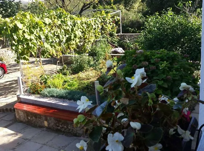 Lavanda Nova Ražanj