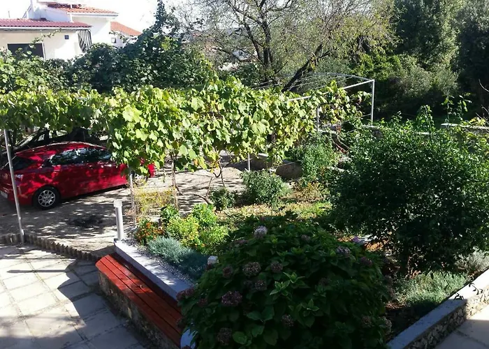 Lavanda Nova Ražanj