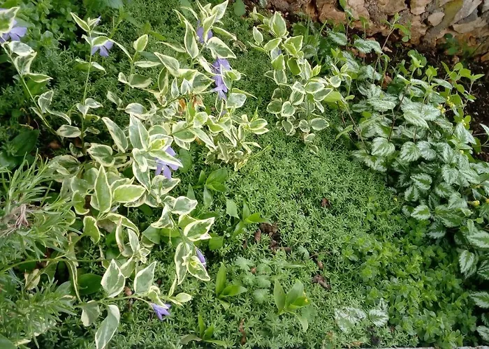 Appartement Lavanda Nova