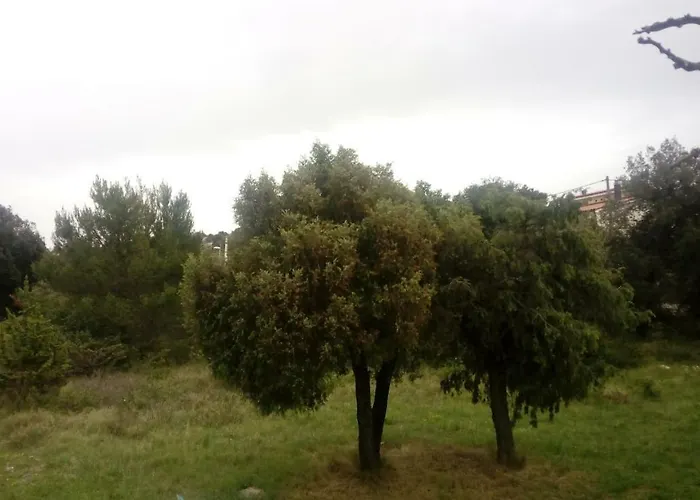 Lavanda Nova * Ražanj