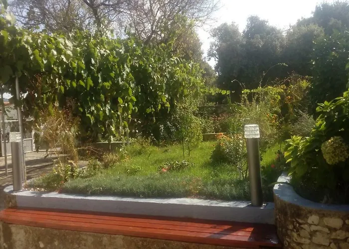 Lavanda Nova Ražanj