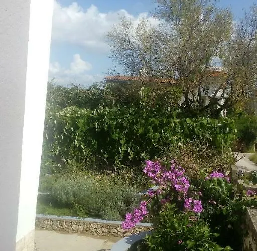 Lavanda Nova * Ražanj