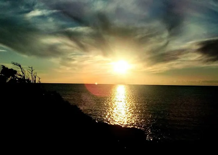 Daire Lavanda Nova *