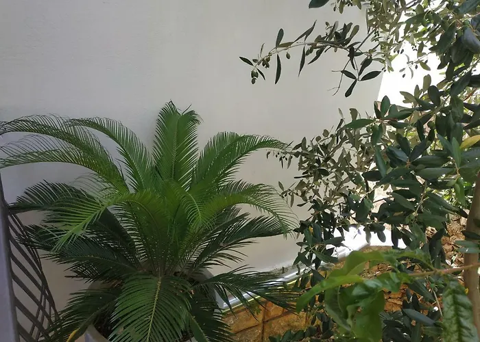 Lavanda Nova Daire *