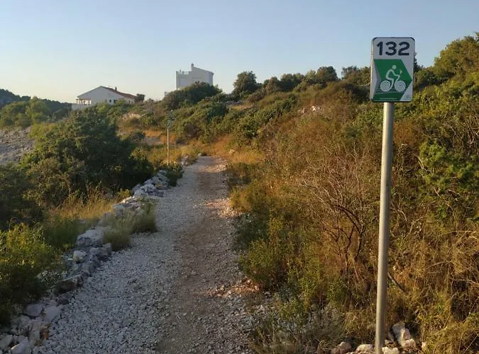 Lavanda Nova Ražanj