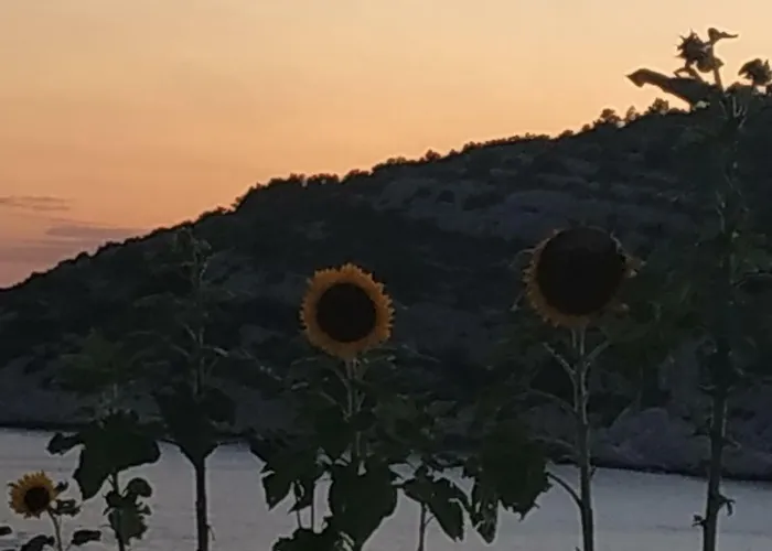 Apartman Lavanda Nova *