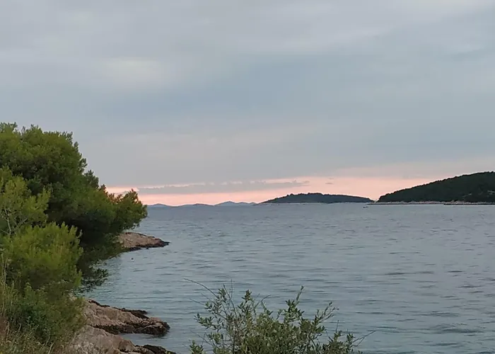 Apartman Lavanda Nova