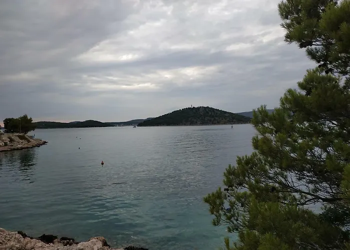 Lavanda Nova * Ražanj